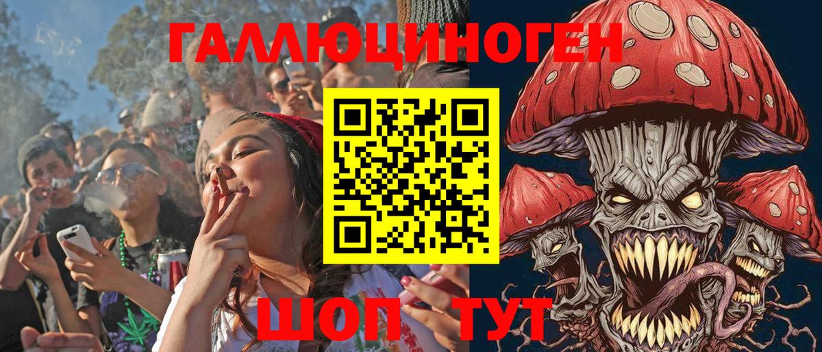 Псилоцибиновые грибы ЛСД Каменка