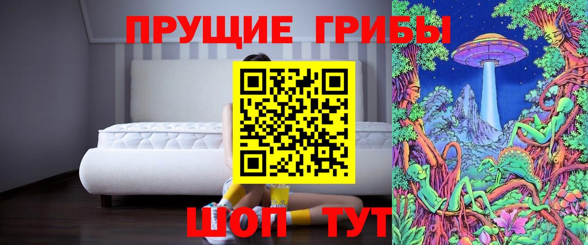 Псилоцибиновые грибы прущие грибы  Галлюциногенные грибы Cubensis  закладка  Вход с VPN  Каменка 
