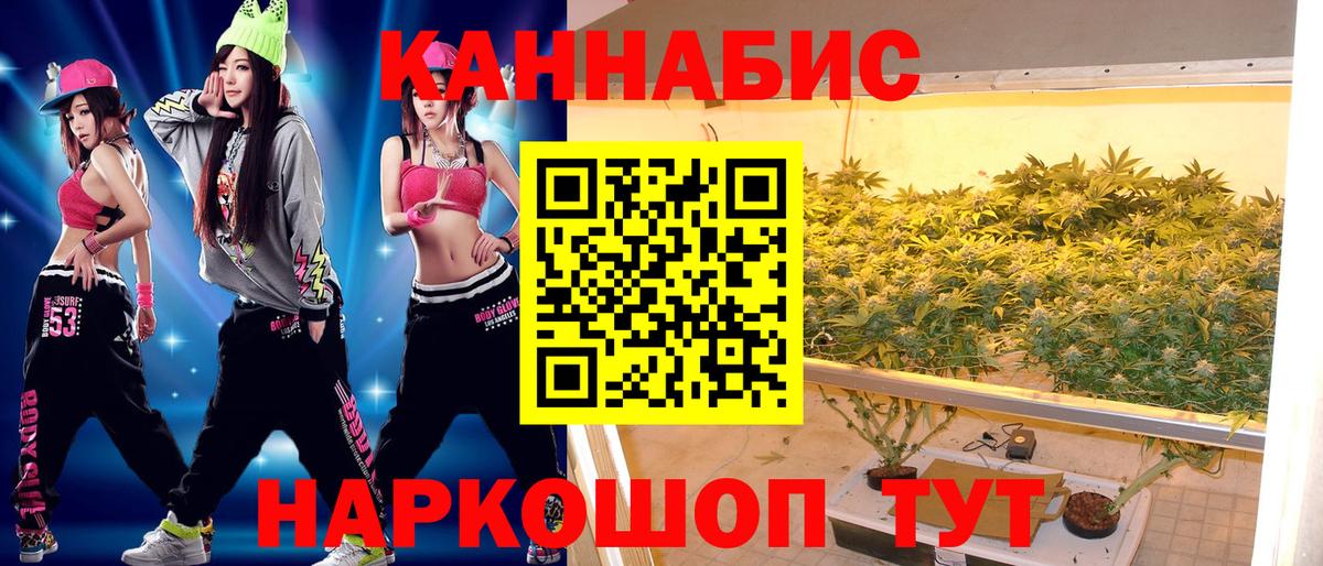 Марихуана индика  Вход с VPN  МАРИХУАНА конопля  Каменка  Марихуана Ganja 